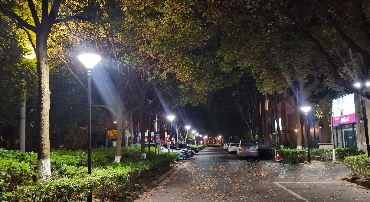 ��������-�r�����_