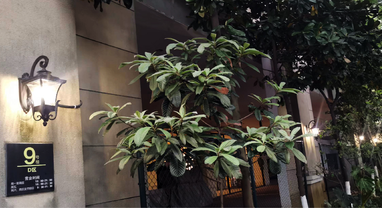 ��������-�r�����_